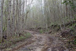 property photo for Hidden Hills Tract 49, 7.46 acres for sale in Sequatchie County, Tennessee