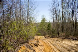 property photo for Hidden Hills Tract 5, 8.35 acres for sale in Sequatchie County, Tennessee