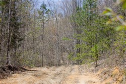 property photo for Hidden Hills Tract 5, 8.35 acres for sale in Sequatchie County, Tennessee