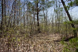 property photo for Hidden Hills Tract 5, 8.35 acres for sale in Sequatchie County, Tennessee