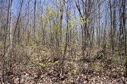 property photo for Hidden Hills Tract 5, 8.35 acres for sale in Sequatchie County, Tennessee