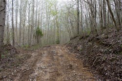 property photo for Hidden Hills Tract 50, 9.07 acres for sale in Sequatchie County, Tennessee