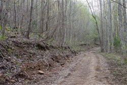 property photo for Hidden Hills Tract 50, 9.07 acres for sale in Sequatchie County, Tennessee