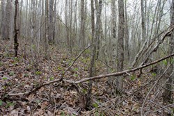 property photo for Hidden Hills Tract 50, 9.07 acres for sale in Sequatchie County, Tennessee