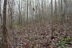 property photo for Hidden Hills Tract 50, 9.07 acres for sale in Sequatchie County, Tennessee