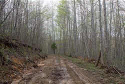 property photo for Hidden Hills Tract 51, 8.79 acres for sale in Sequatchie County, Tennessee