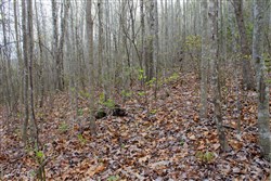 property photo for Hidden Hills Tract 51, 8.79 acres for sale in Sequatchie County, Tennessee