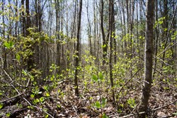 property photo for Hidden Hills Tract 51, 8.79 acres for sale in Sequatchie County, Tennessee