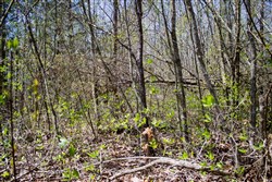 property photo for Hidden Hills Tract 51, 8.79 acres for sale in Sequatchie County, Tennessee