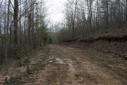 property photo for Hidden Hills Tract 52, 10.57 acres for sale in Sequatchie County, Tennessee