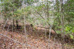 property photo for Hidden Hills Tract 52, 10.57 acres for sale in Sequatchie County, Tennessee