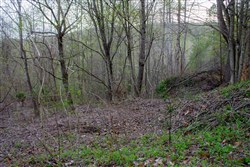 property photo for Hidden Hills Tract 52, 10.57 acres for sale in Sequatchie County, Tennessee