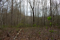 property photo for Hidden Hills Tract 53, 7.54 acres for sale in Sequatchie County, Tennessee