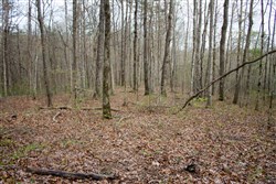 property photo for Hidden Hills Tract 53, 7.54 acres for sale in Sequatchie County, Tennessee