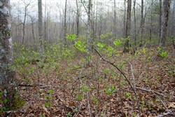 property photo for Hidden Hills Tract 53, 7.54 acres for sale in Sequatchie County, Tennessee