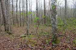 property photo for Hidden Hills Tract 53, 7.54 acres for sale in Sequatchie County, Tennessee