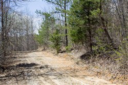 property photo for Hidden Hills Tract 6, 7.84 acres for sale in Sequatchie County, Tennessee