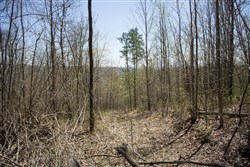property photo for Hidden Hills Tract 6, 7.84 acres for sale in Sequatchie County, Tennessee