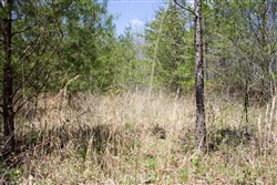 property photo for Hidden Hills Tract 6, 7.84 acres for sale in Sequatchie County, Tennessee