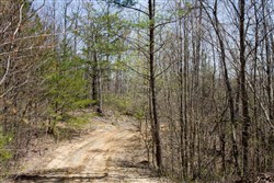 property photo for Hidden Hills Tract 6, 7.84 acres for sale in Sequatchie County, Tennessee