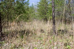 property photo for Hidden Hills Tract 6, 7.84 acres for sale in Sequatchie County, Tennessee