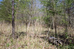 property photo for Hidden Hills Tract 6, 7.84 acres for sale in Sequatchie County, Tennessee