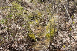 property photo for Hidden Hills Tract 7, 9.08 acres for sale in Sequatchie County, Tennessee