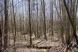 property photo for Hidden Hills Tract 7, 9.08 acres for sale in Sequatchie County, Tennessee