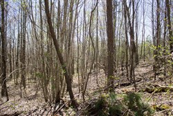 property photo for Hidden Hills Tract 7, 9.08 acres for sale in Sequatchie County, Tennessee