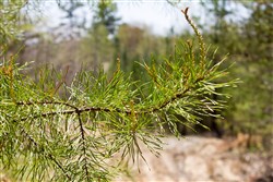 property photo for Hidden Hills Tract 7, 9.08 acres for sale in Sequatchie County, Tennessee
