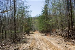 property photo for Hidden Hills Tract 8, 8.12 acres for sale in Sequatchie County, Tennessee