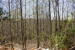 property photo for Hidden Hills Tract 8, 8.12 acres for sale in Sequatchie County, Tennessee
