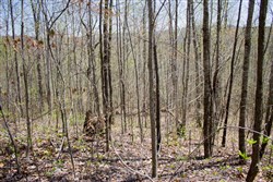 property photo for Hidden Hills Tract 8, 8.12 acres for sale in Sequatchie County, Tennessee