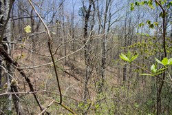 property photo for Hidden Hills Tract 8, 8.12 acres for sale in Sequatchie County, Tennessee