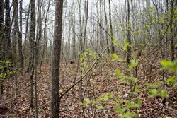 Hidden Hills Tract 9