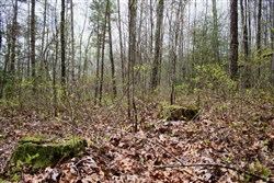 Hidden Hills Tract 9