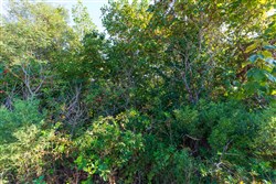 property photo for Redemption Ridge Tract 1, 12.58 acres for sale in Wayne County, Tennessee