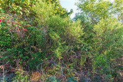 property photo for Redemption Ridge Tract 1, 12.58 acres for sale in Wayne County, Tennessee