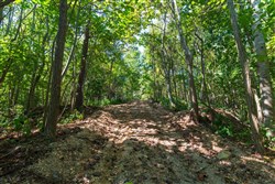 Redemption Ridge Tract 10
