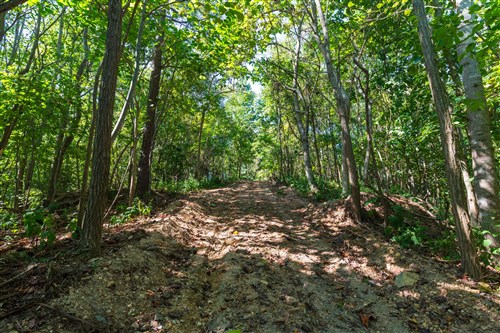 Redemption Ridge Tract 10