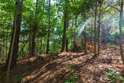 Redemption Ridge Tract 10