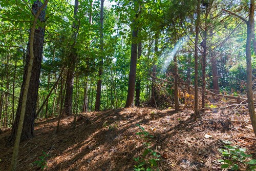 Redemption Ridge Tract 10