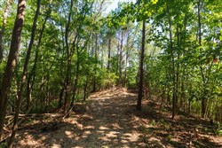 Redemption Ridge Tract 10