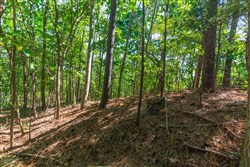Redemption Ridge Tract 10