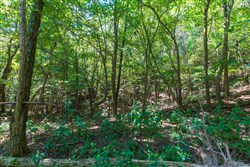 Redemption Ridge Tract 11