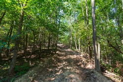 Redemption Ridge Tract 11