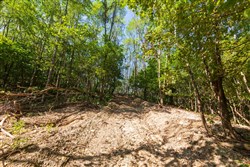 Redemption Ridge Tract 11