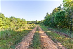 property photo for Redemption Ridge Tract 2, 5.07 acres for sale in Wayne County, Tennessee