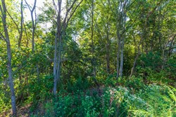 property photo for Redemption Ridge Tract 2, 5.07 acres for sale in Wayne County, Tennessee