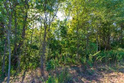 property photo for Redemption Ridge Tract 2, 5.07 acres for sale in Wayne County, Tennessee
